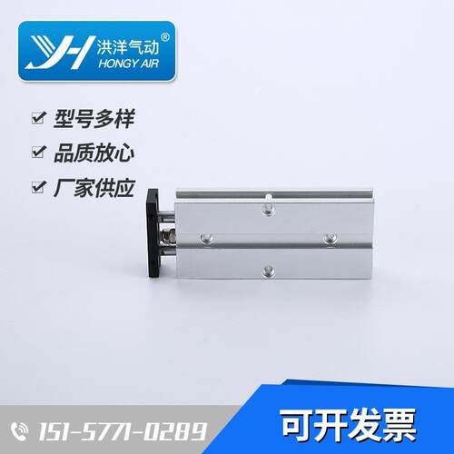TN双轴气缸TN25*10*20*30*40*50*60*70*80*100-S静音精准
