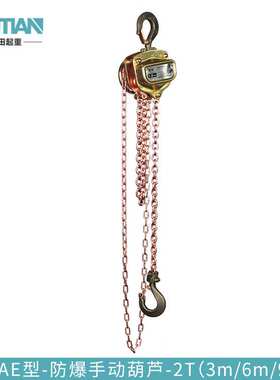 定制 防爆手拉葫芦 MSAE型防爆手拉葫芦 BT3（2.5m/3m/6m/9m）