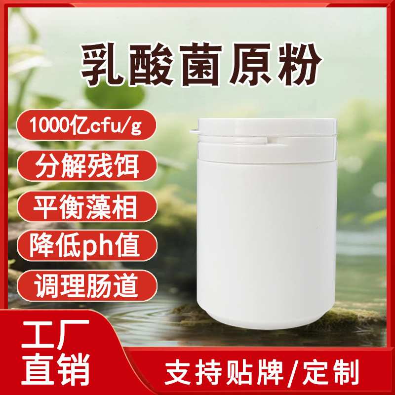 乳酸菌原粉1000亿肠道扩培水产专用粉生物菌剂 厂家原料剂直销