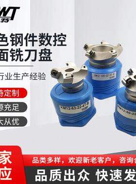 KM12-50-22-4T-B白色钢件数控平面铣刀盘 高耐磨铣床飞刀盘规格