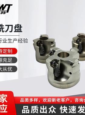 粗铣刀盘 数控粗铣刀盘 开粗框专用粗铣刀盘 TXP08-50-22-3T