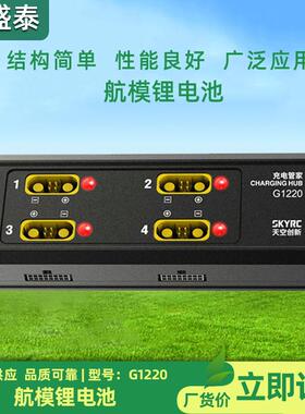 AS150U头4组G1220航模锂电池 SKYRC充电管家V2充电器并充板锂电池