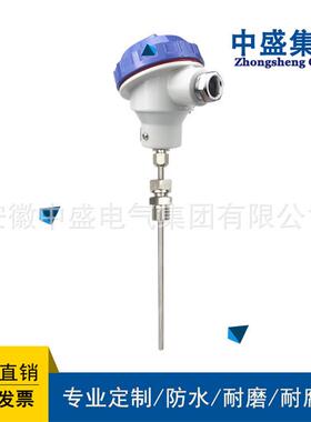 铠装热电阻温度变送器WZPKB-248 0-300℃ T=350直径8M20*1.5