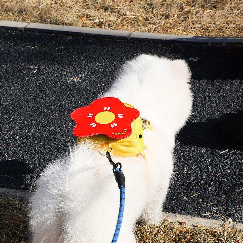 宠物背包小型犬可挂牵引绳狗狗外出遛狗零食自背包新款狗包小狗包