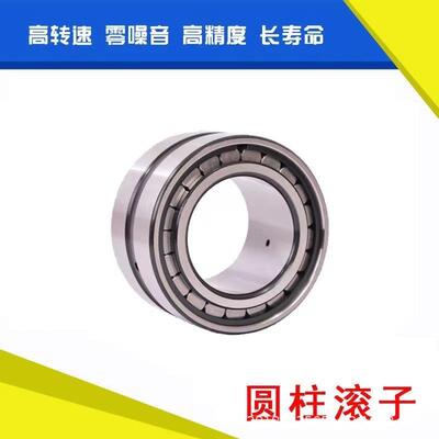SL045013PP 满装滚子轴承 满滚子轴承 满装圆柱滚子轴承