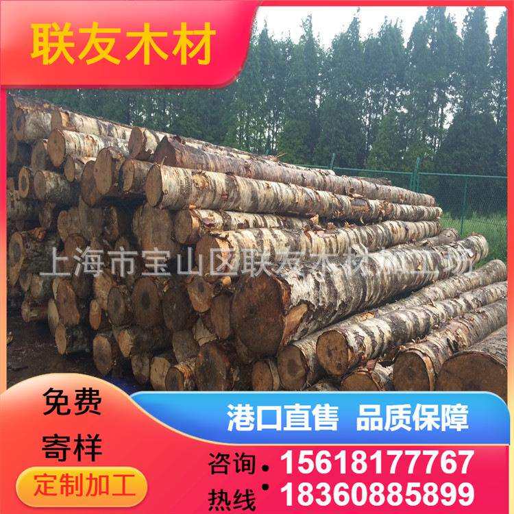桦木原木 枫桦 白桦 旋切材 板材（家具、装修材料）