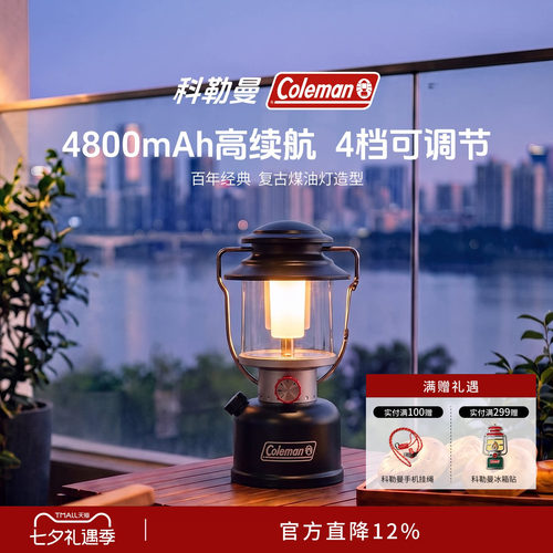 充电LED露营灯黑800流明