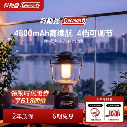 充电LED露营灯黑800流明