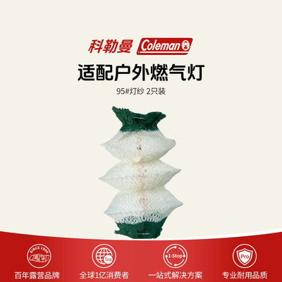 户外燃气灯95#灯纱2只装
