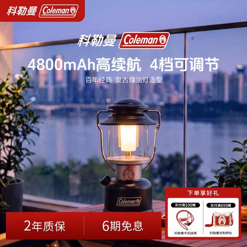 充电LED露营灯黑800流明