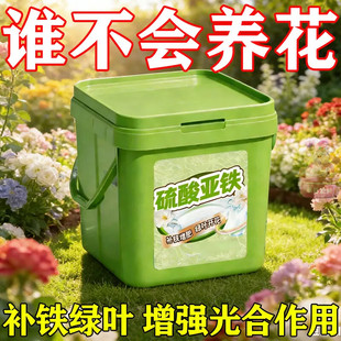 硫酸亚铁正牌正品酸性土壤通用型养花防黄叶植物果树铁树水溶补铁
