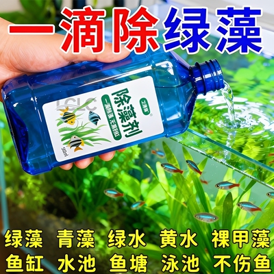 鱼缸如镜【除藻净水消味】不伤鱼