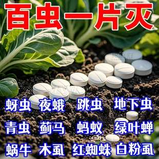 园艺防虫片糖化硼肥片防虫颗粒剂花卉绿植盆栽植物菜地除虫防烂根