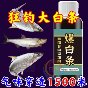 野钓小白条小药饵料白条鱼饵促食剂专攻白条餐条翘嘴马口诱鱼小药