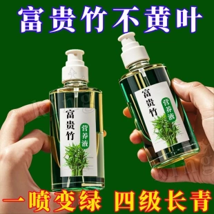 富貴竹專用營養(yǎng)液葉子發(fā)黃促生根液植物水培專用肥料 翠綠 四季
