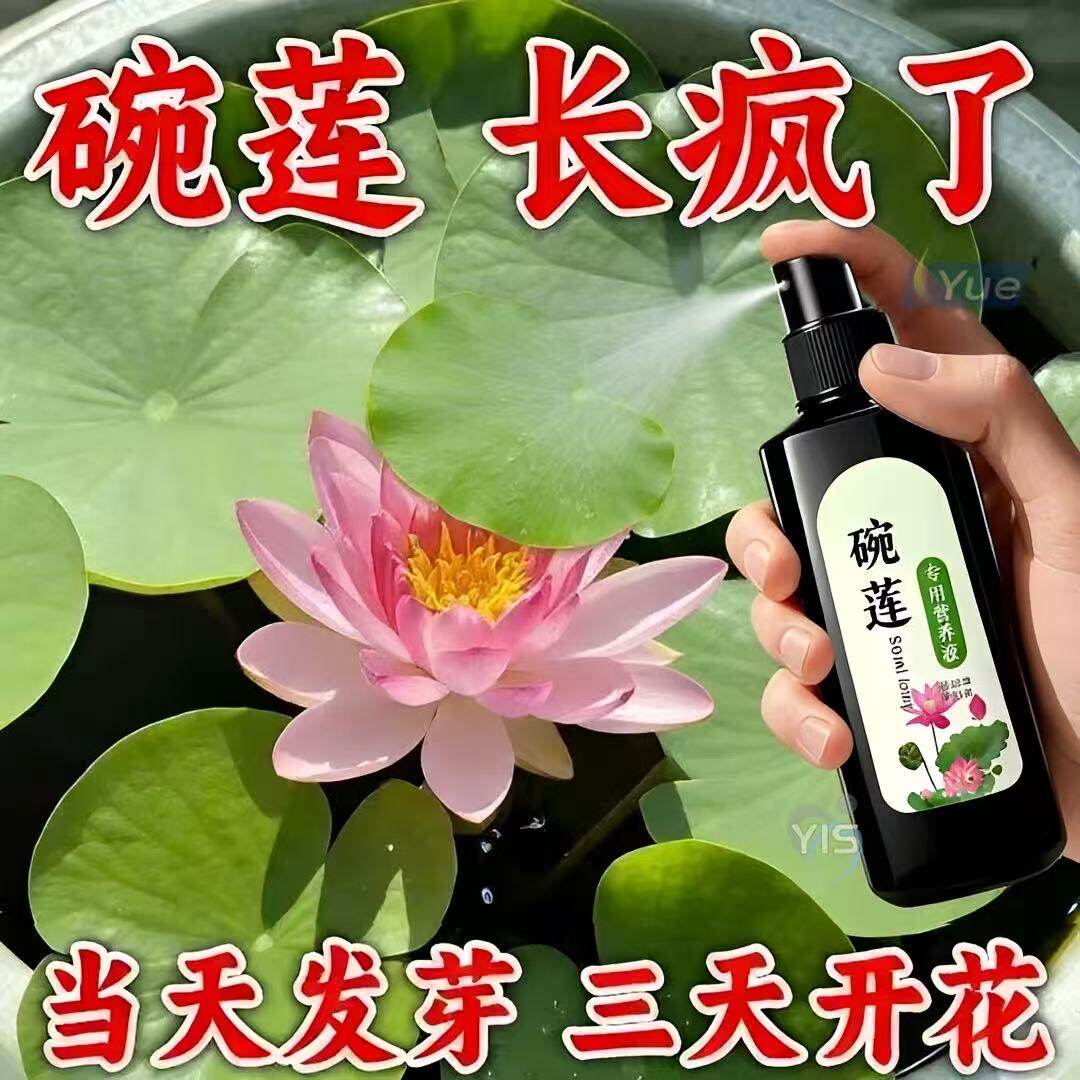 碗莲专用营养液睡莲肥料通用水溶肥水培种子发芽生根促开花防黄叶