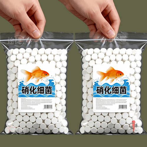 预防鱼病【硝化细菌】养鱼常备