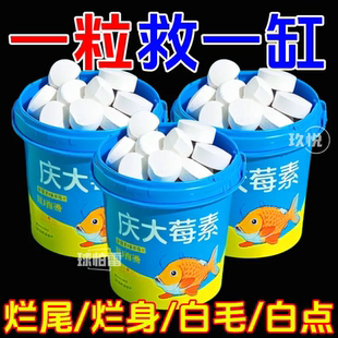 庆大霉素鱼病专用药烂身烂尾白点白毛掉磷蒙眼日常护理康复消杀片