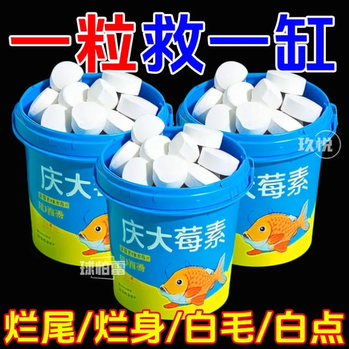 浓缩鱼用庆大霉素片解决各种鱼病