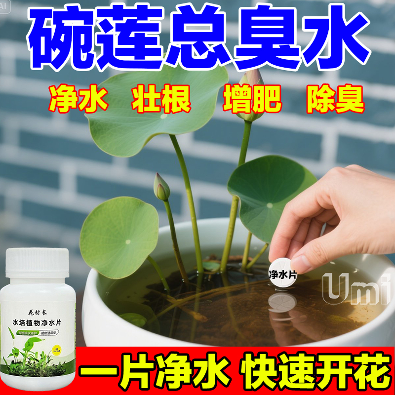 碗莲荷花净水片催芽睡莲开花黄叶叶面黑烂叶增肥水培绿植专用通用
