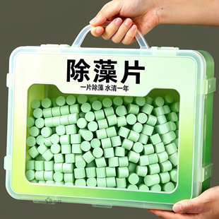 鱼缸除藻片绿藻青苔清除神器鱼缸除绿水褐藻丝藻黑藻水垢新款