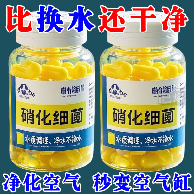 【浓缩硝化细菌】有益菌净化水质