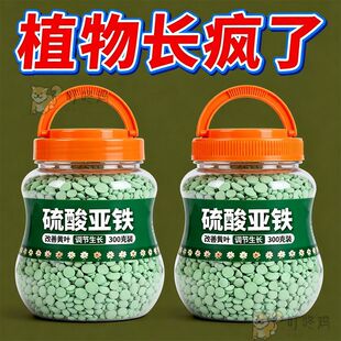 硫酸亚铁花肥料水溶肥家用盆栽通用治黄叶绿酸性喜酸植物花卉铁肥