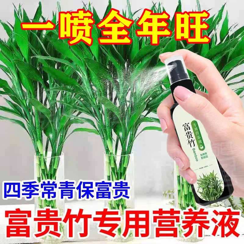 富贵竹专用营养液促生根液