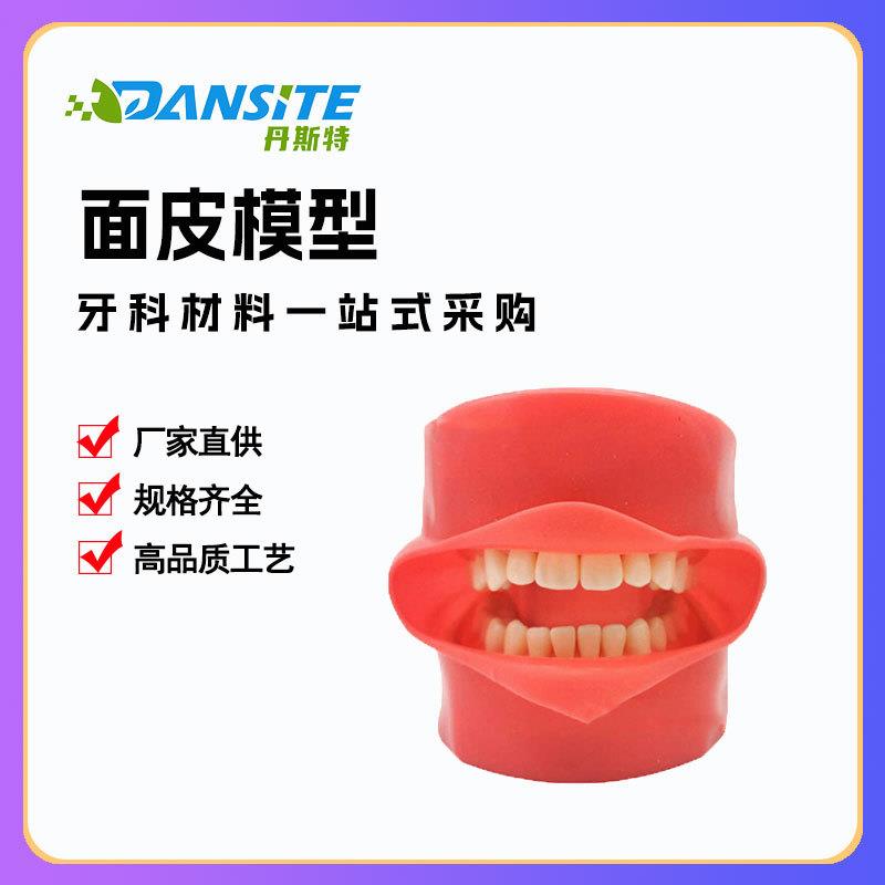 全口可拆卸备28颗牙齿模型加面皮