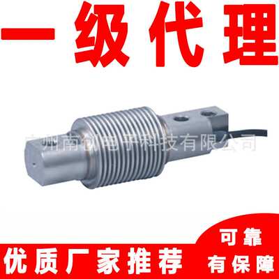 F60X-300kg C3/C4/C6 CH 10e 6-W TR世感称重传感器厂家
