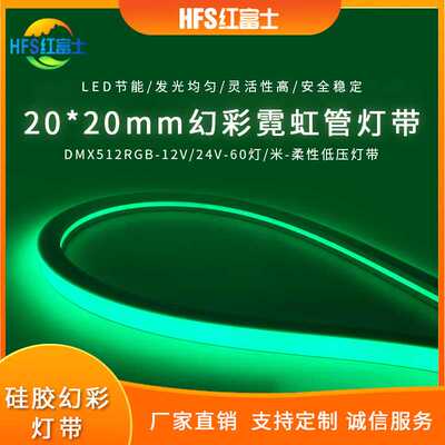 DMX512RGB2020幻彩霓虹管灯带防水24V60灯低压纯硅胶灯条装饰亮化