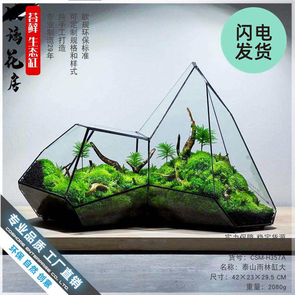 苔藓雨林缸微景观几何植物墙异形玻璃花房生态瓶热带雨林缸花盆器