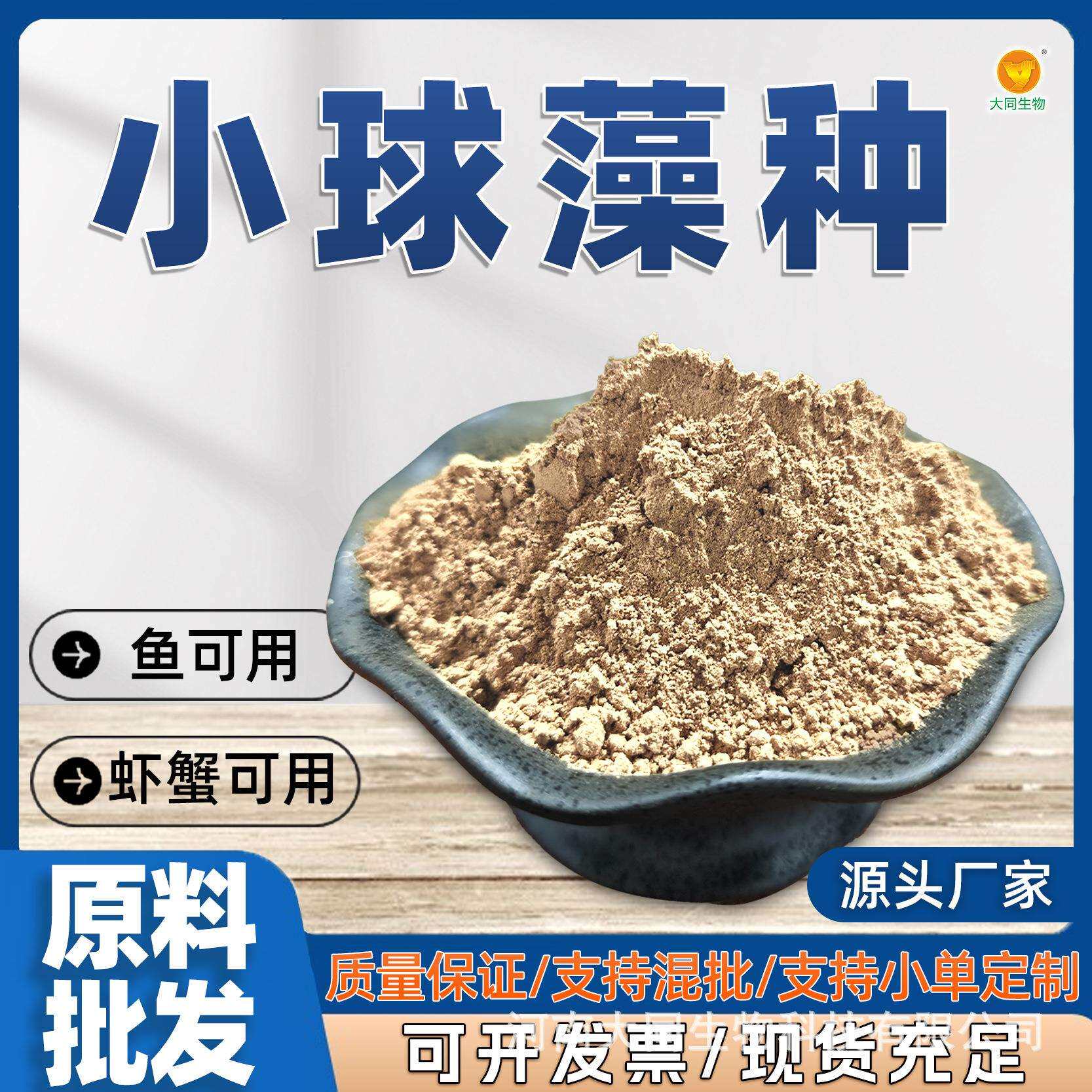 浓缩小球藻藻种水产养殖肥水培藻绿藻小球藻培养基硅藻藻种