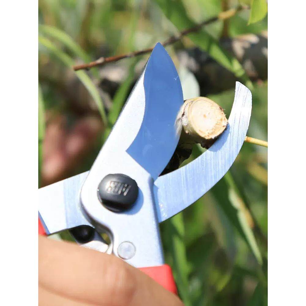 ARS爱丽斯120EU 园林修剪工具剪果树绿化剪花艺修花剪枝剪刀修枝