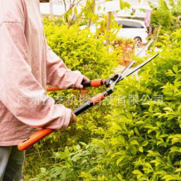 KOTESO园艺大剪刀KT2100园林修枝剪老人头花木剪草修草坪绿篱剪