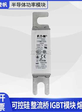 170M1320 170M4410 170M5388  170M5447  170M5448巴斯曼熔断器