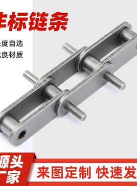 工业链条输送链条非标P75/P100/P125P150P150大节距链条厂家直销