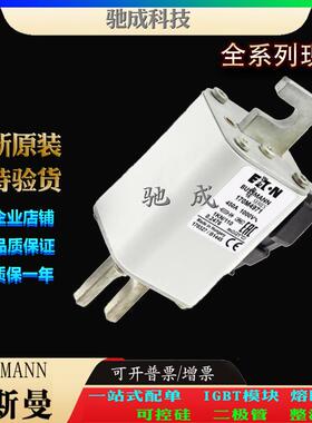 巴斯曼170M4971 170M4972 170M4973 现货直销销售 快速熔断器