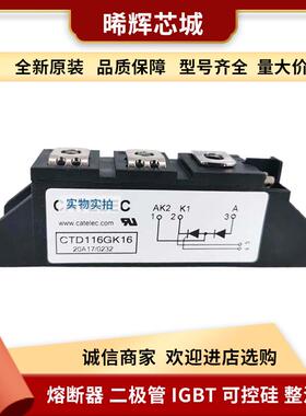 CTD100GK16 CTD100GK18 库存充足型号齐全大功率可控硅双向