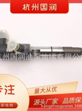 一汽大柴共轨喷油器 0445110541适用于道依茨 一汽解放 DE 发动机