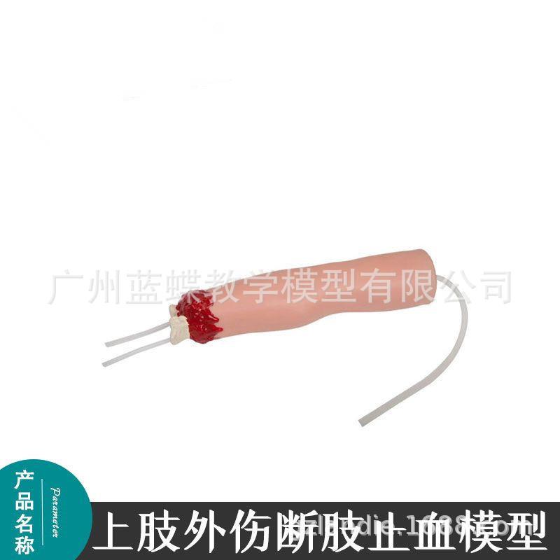 上肢外伤断肢止血模型/手臂断肢包扎止血模型/模块/教学培训专用