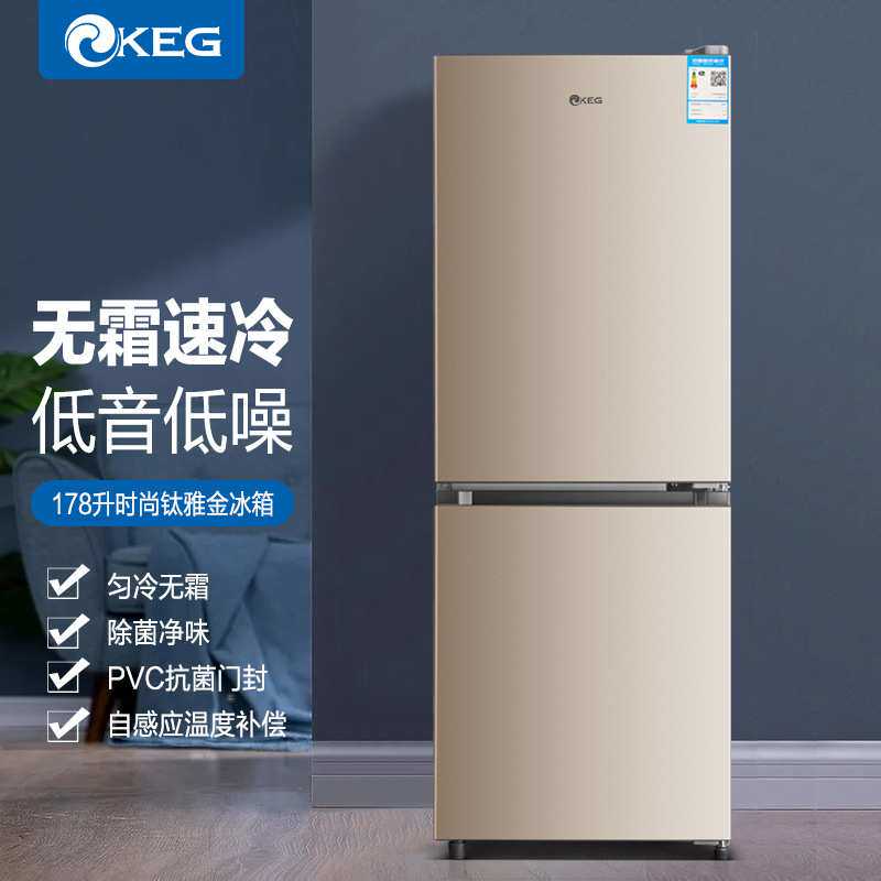 韩电双开门冰箱家用小型一级节能宿舍租房用学生冷冻藏迷你电冰箱