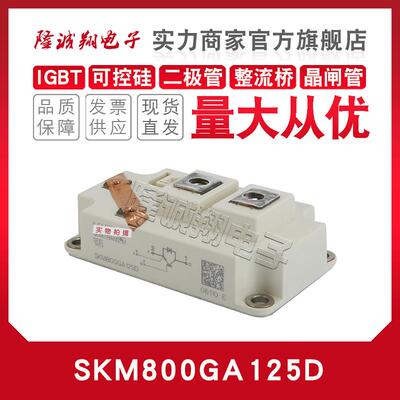 IGBT模块SKM200GA 300GA 400GA 500GA 600GA 800GA123/124/125DS