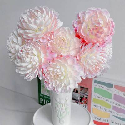 凯尔盖安大丽花鲜切花鲜花网红款花束云南直发绿植真花水培插花