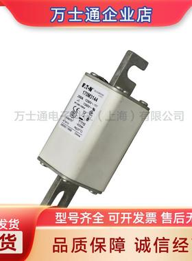 170M3065 170M3066 170M3067 170M3068 170M3069 170M3070熔断器