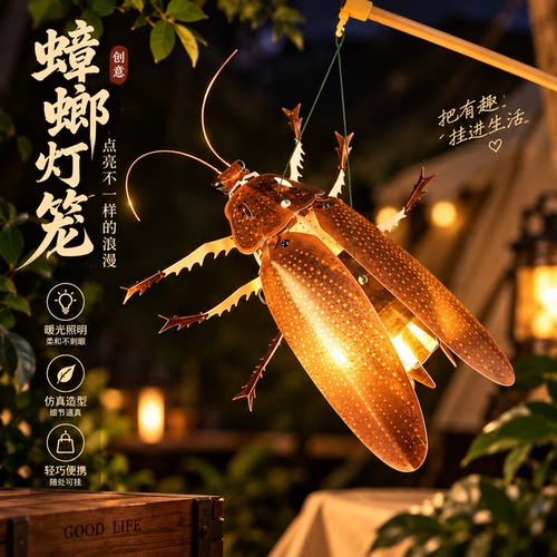 中秋节的宝蠊灯！蟑螂灯笼