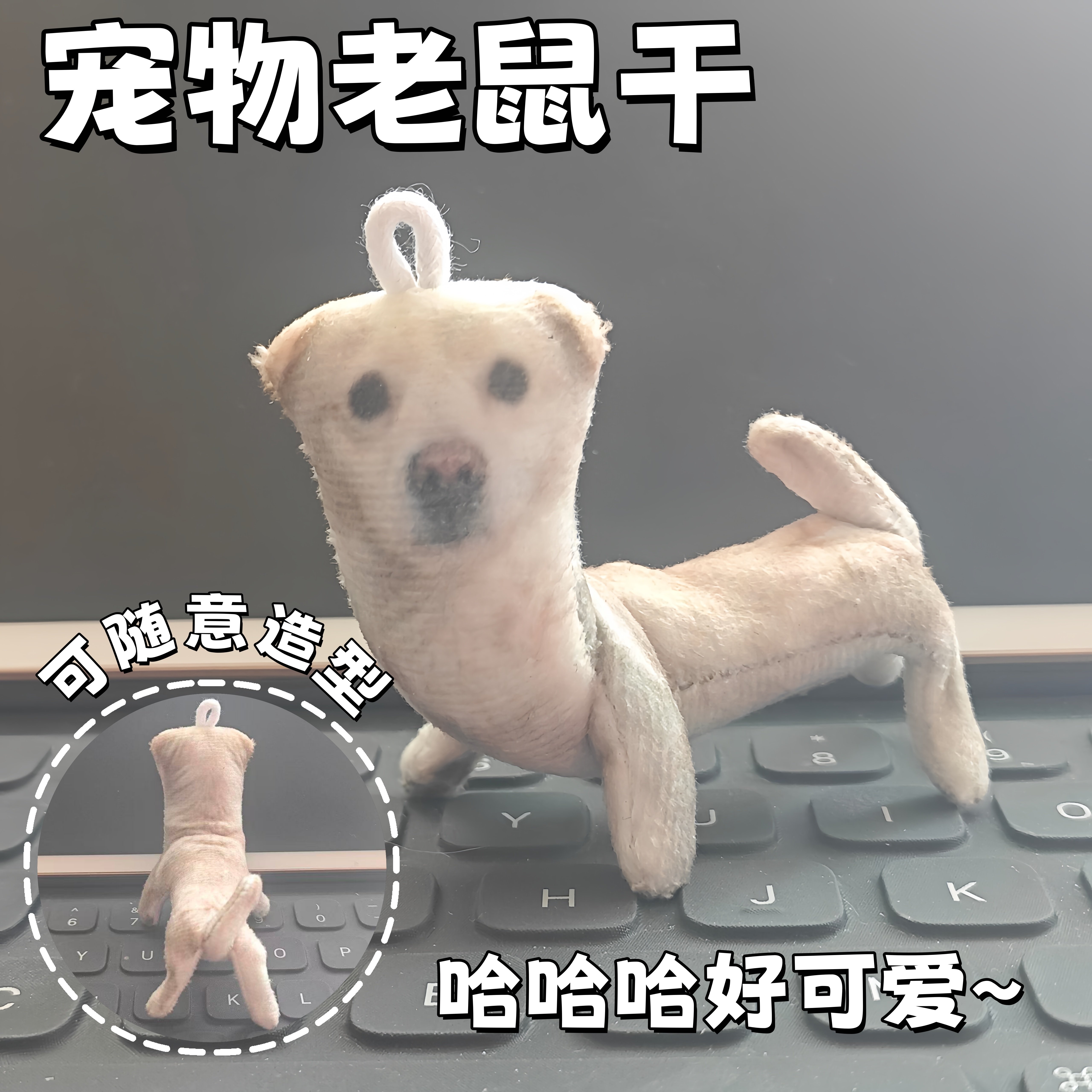 宠物老鼠干~可随意凹造型小挂件