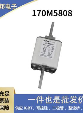 170M6247 170M6248 170M6249 170M6250原盒快速熔断器 保险丝