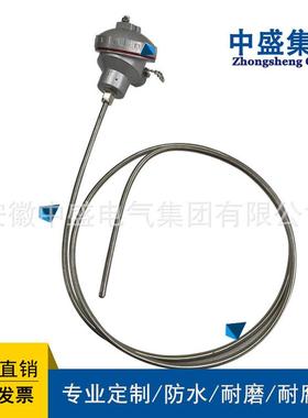 装置式铠装电热偶WRCK-592