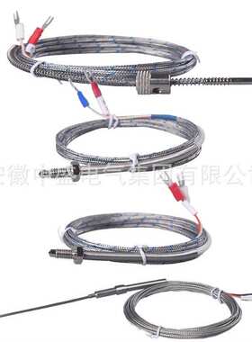 双支端面热电阻端面热电阻WZPM2-201 PT100